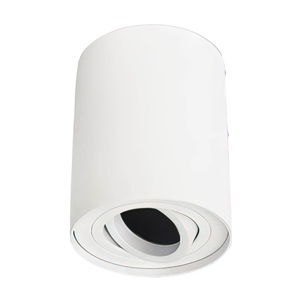 Spectrum tube round white LED ceiling spotlight with adjustable GU10 fitting