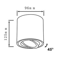 Spectrum tube round white LED ceiling spotlight with adjustable GU10 fitting