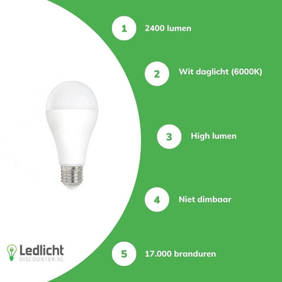 Ampoule LED Spectrum E27 20W 2400 lumens 6000K blanc froid 230V 160° haut flux non dimmable