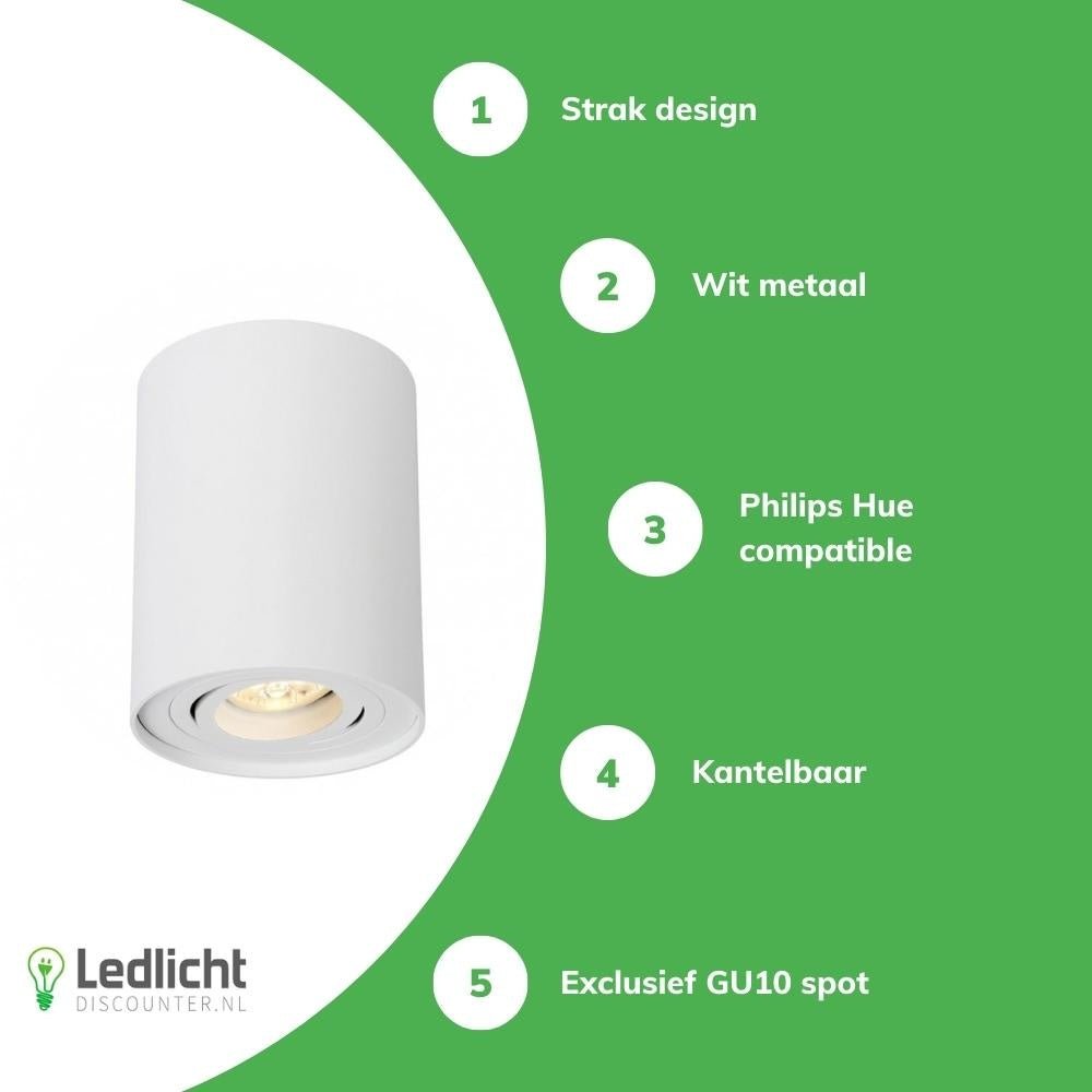 Spectrum tube round white LED ceiling spotlight with adjustable GU10 fitting