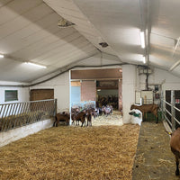 Ledvance luminaire LED étanche 1500mm 50W 4000K 6500 lumens IP67 IK06 Blanc froid montage en surface