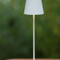 Lampe LED Lucide 1521 lumens utiles, 3000K, 10.5W, remplacement 1250W, aluminium or mat