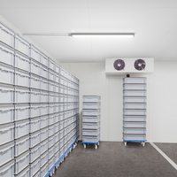 Philips WT060C LED waterproof batten 46W 6500K 5600 lumens 1500mm IP66 IK08 opal polycarbonate