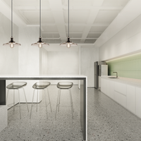 Philips Ampoule LED E27 A60 Dépoli Dimmable 5.9W 2700K 806 lumens 90CRI 220-240V Blanc Chaud