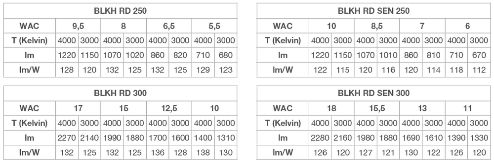 Ledvance LED Hublot Rond 300mm 17W IP65 IK10 2270 lumens 3000K 4000K Noir Montage en Saillie Luminaire Extérieur