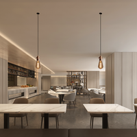 Philips LED Bulb E27 A60 4W 1800K Amber Glass 250 lumens dimmable decorative light