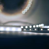 Modee LED strip silicone 12V 4.8W/m 60LED/m 540 lumens/m IP65 6000K CRI 90 5m roll