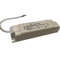 Driver de panneau LED Tsong 40W 27-42V 1000mA non-dimmable