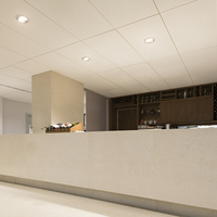 Philips CorePro LED PLL 16.5W 4000K 2100 lumens tube 2G11 Blanc Froid compatible EM/Mains