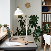 Ampoule LED Philips CorePro 4,3W équivalent 40W E27 A60 2700K claire 470 lumens non dimmable