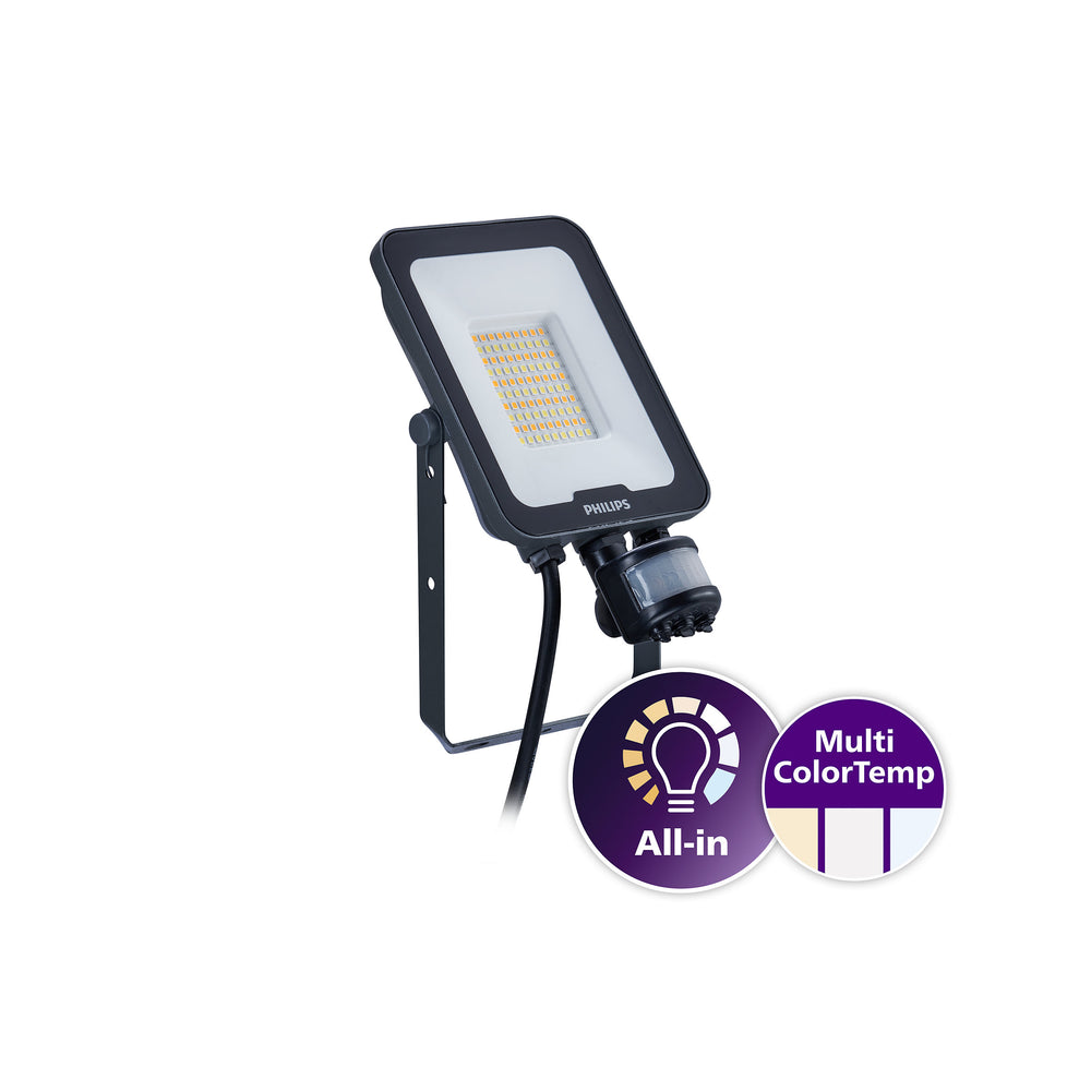 Projecteur LED Philips 30W IP65 3300-3600 lumens 3000K 4000K 6500K Boîtier gris IK07 éclairage extérieur