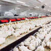 Philips CoreLine WT210C LED waterproof light, 39W 4000K 5000 lumens, IP68 IK10, 1315mm polycarbonate housing