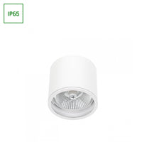 Chloe AR111 GU10 IP65 round LED spotlight outdoor and indoor Spectrum lamp white housing 17000 hours 250V 120-115 mm