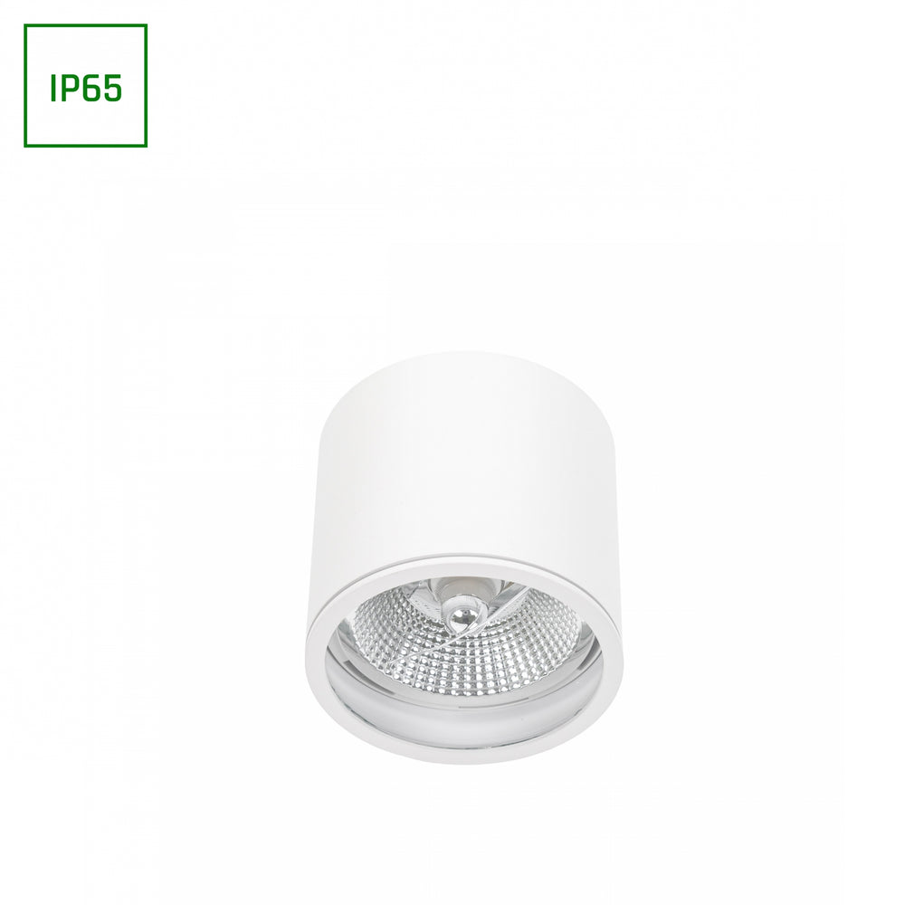 Chloe AR111 GU10 IP65 round LED spotlight outdoor and indoor Spectrum lamp white housing 17000 hours 250V 120-115 mm