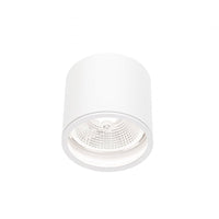 Chloe AR111 GU10 IP65 round LED spotlight outdoor and indoor Spectrum lamp white housing 17000 hours 250V 120-115 mm