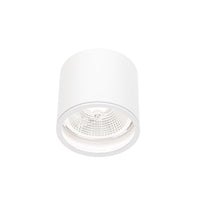 Chloe AR111 GU10 IP65 round LED spotlight outdoor and indoor Spectrum lamp white housing 17000 hours 250V 120-115 mm
