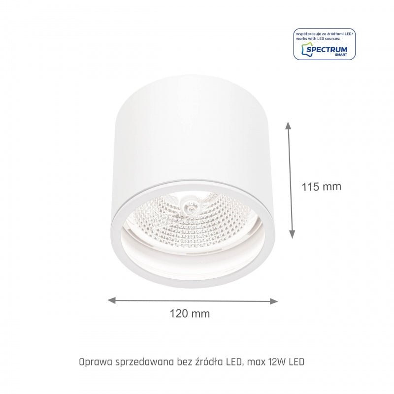 Chloe AR111 GU10 IP65 round LED spotlight outdoor and indoor Spectrum lamp white housing 17000 hours 250V 120-115 mm