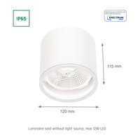 Chloe AR111 GU10 IP65 round LED spotlight outdoor and indoor Spectrum lamp white housing 17000 hours 250V 120-115 mm