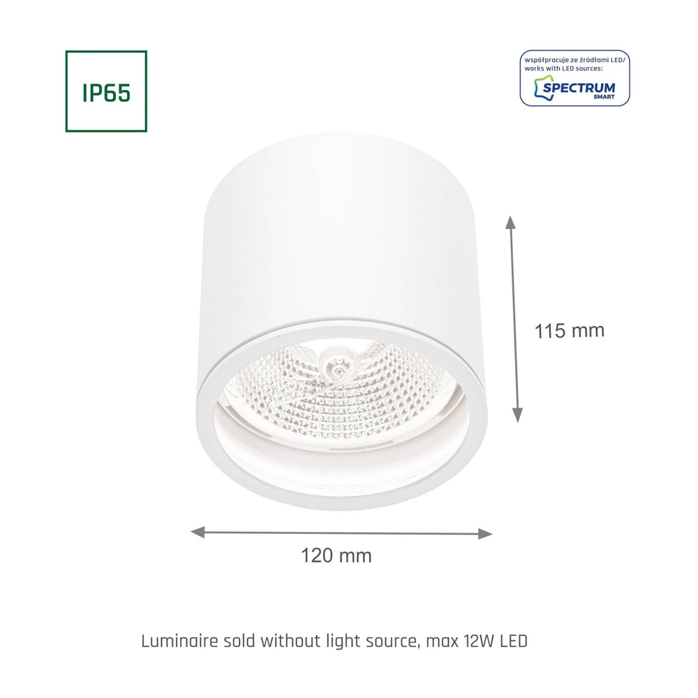 Chloe AR111 GU10 IP65 round LED spotlight outdoor and indoor Spectrum lamp white housing 17000 hours 250V 120-115 mm